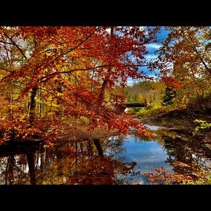 Meet your Posher, Hsienchun